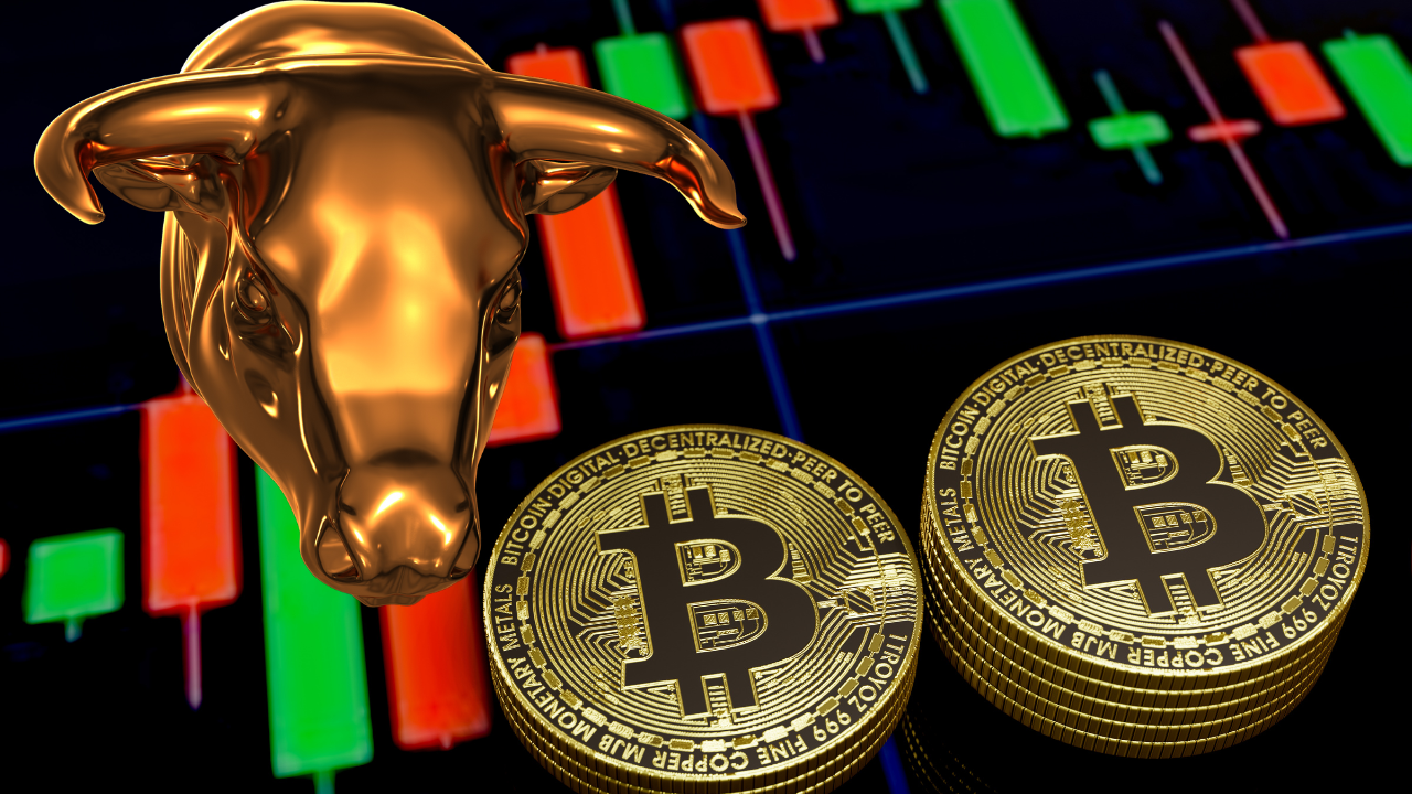 btc touro