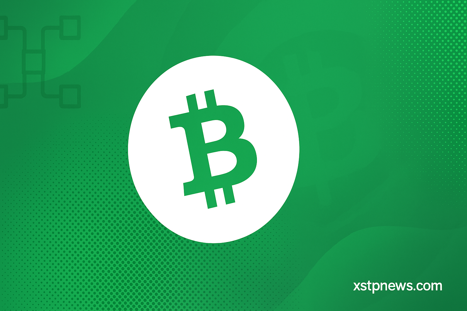 Bitcoin Cash strengthens after 2025 upgrade